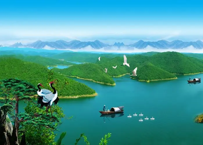 高效数字化